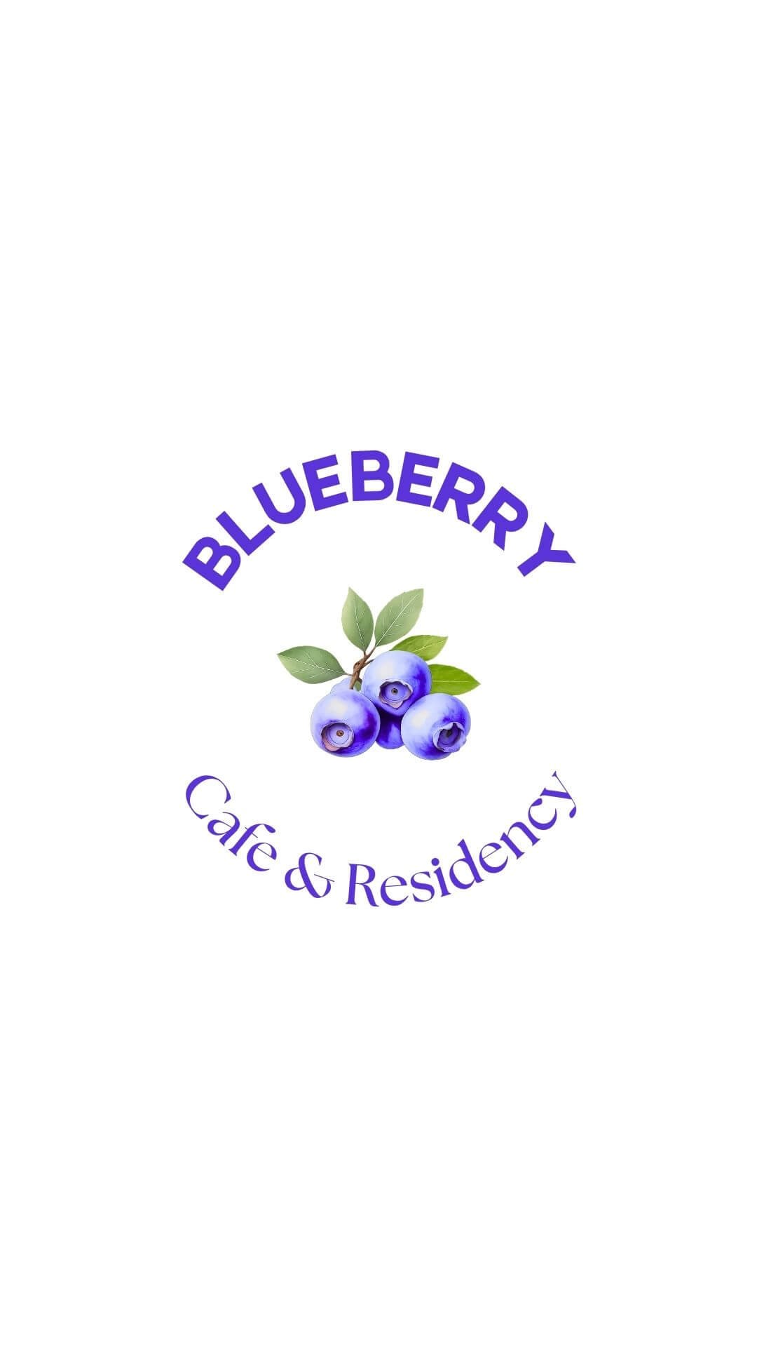 Blueberry brand identity — logo presentation